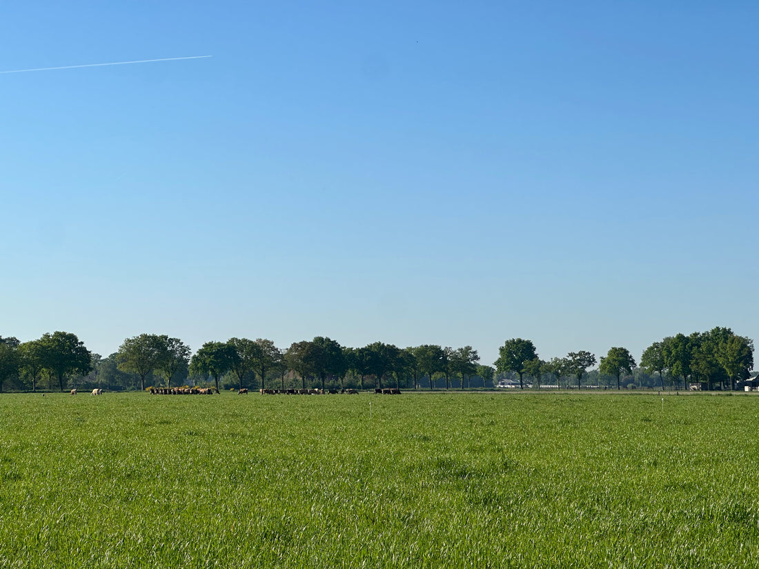 Wat is regeneratieve landbouw?