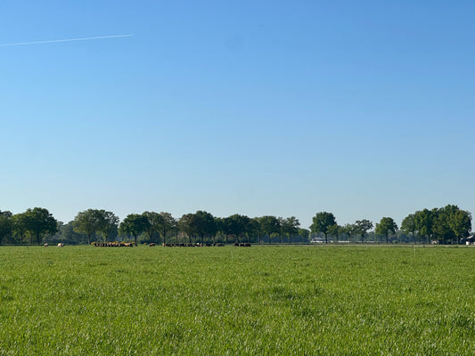 Wat is regeneratieve landbouw?