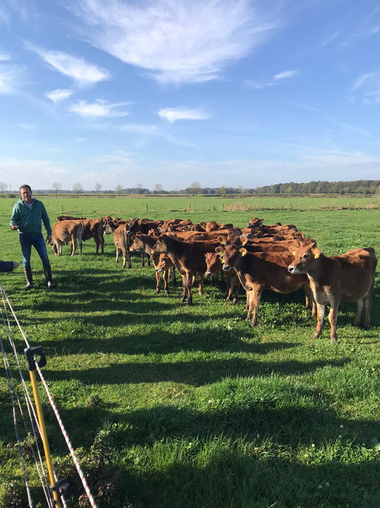 De betekenis van regeneratieve landbouw in 2025