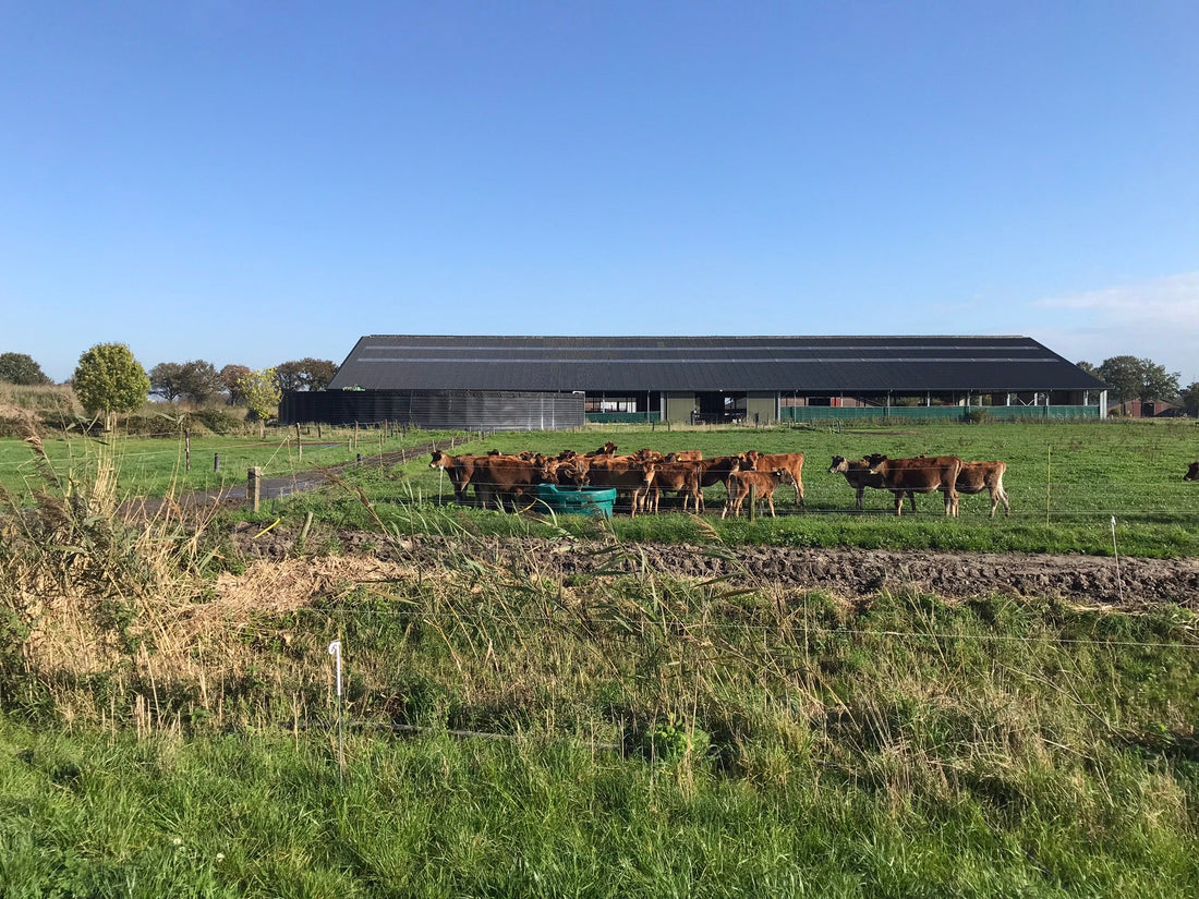 Wat zijn Conservation Buffers?