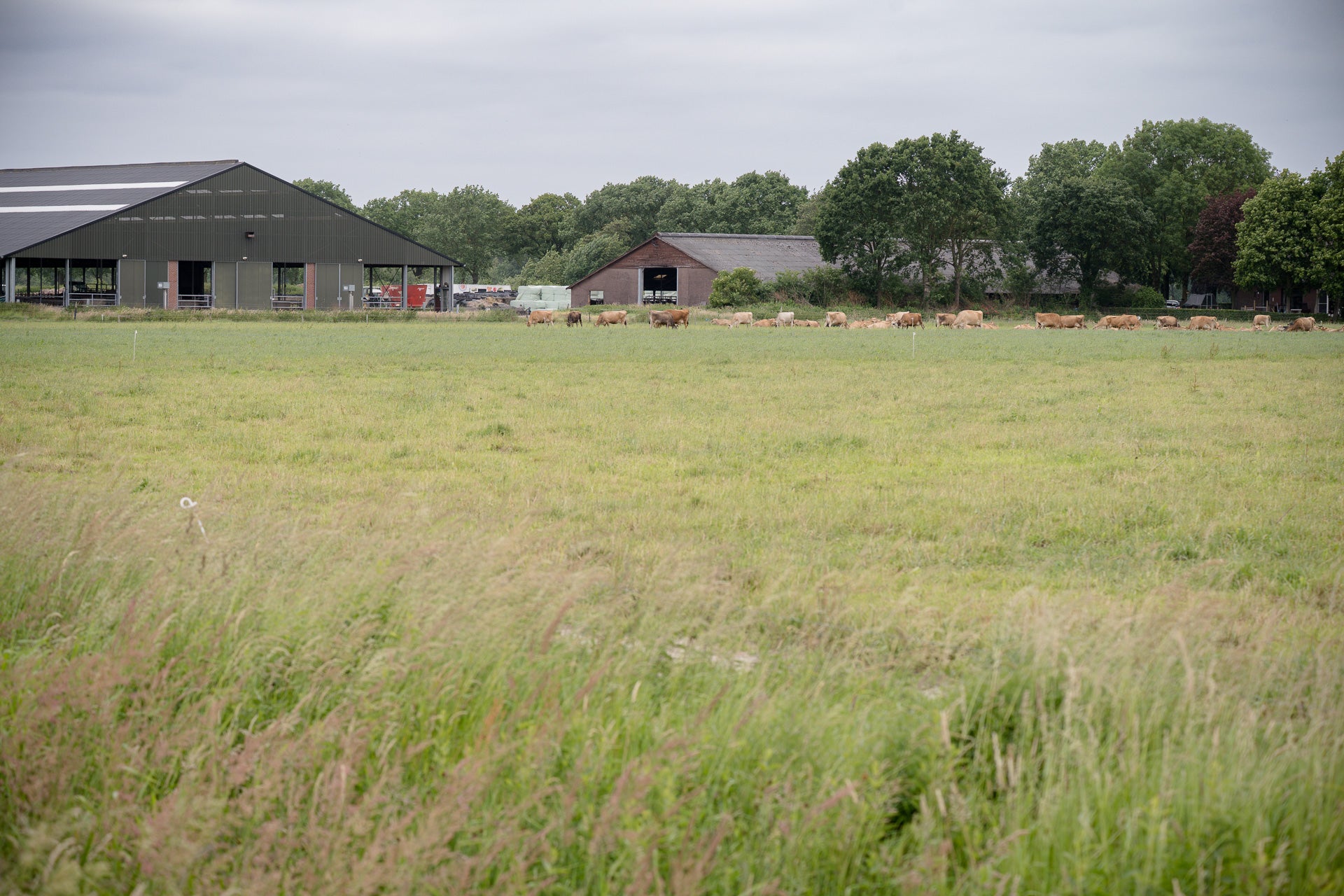 Biologische_Boer_Limburg