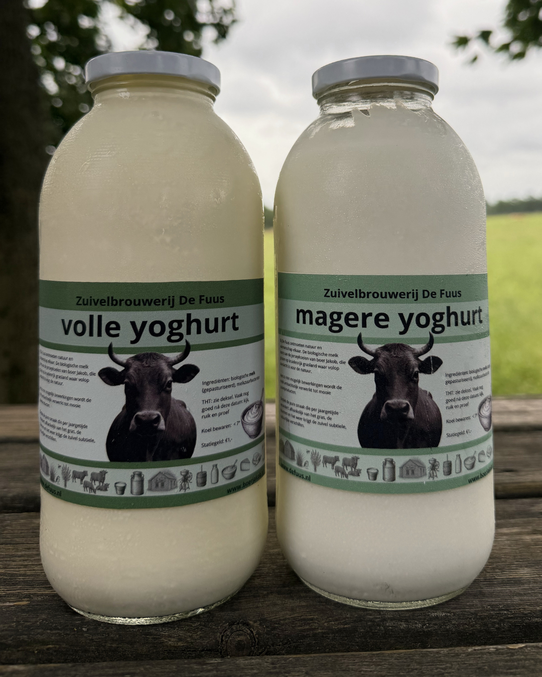 Magere yoghurt