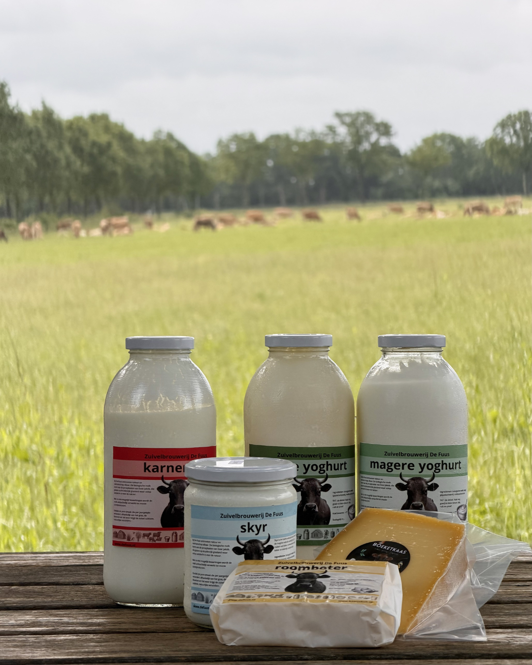 Jersey-skyr