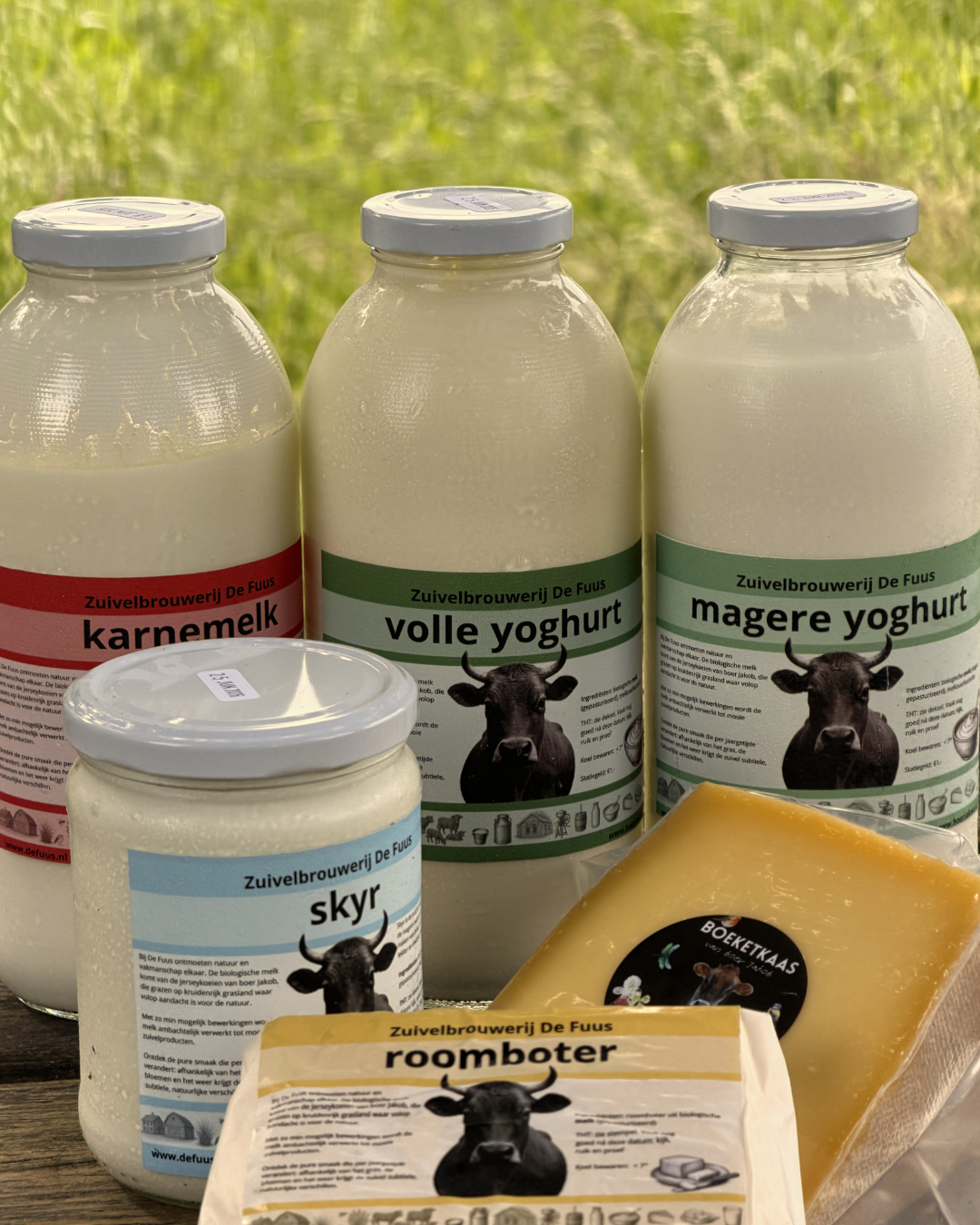 Jersey-skyr