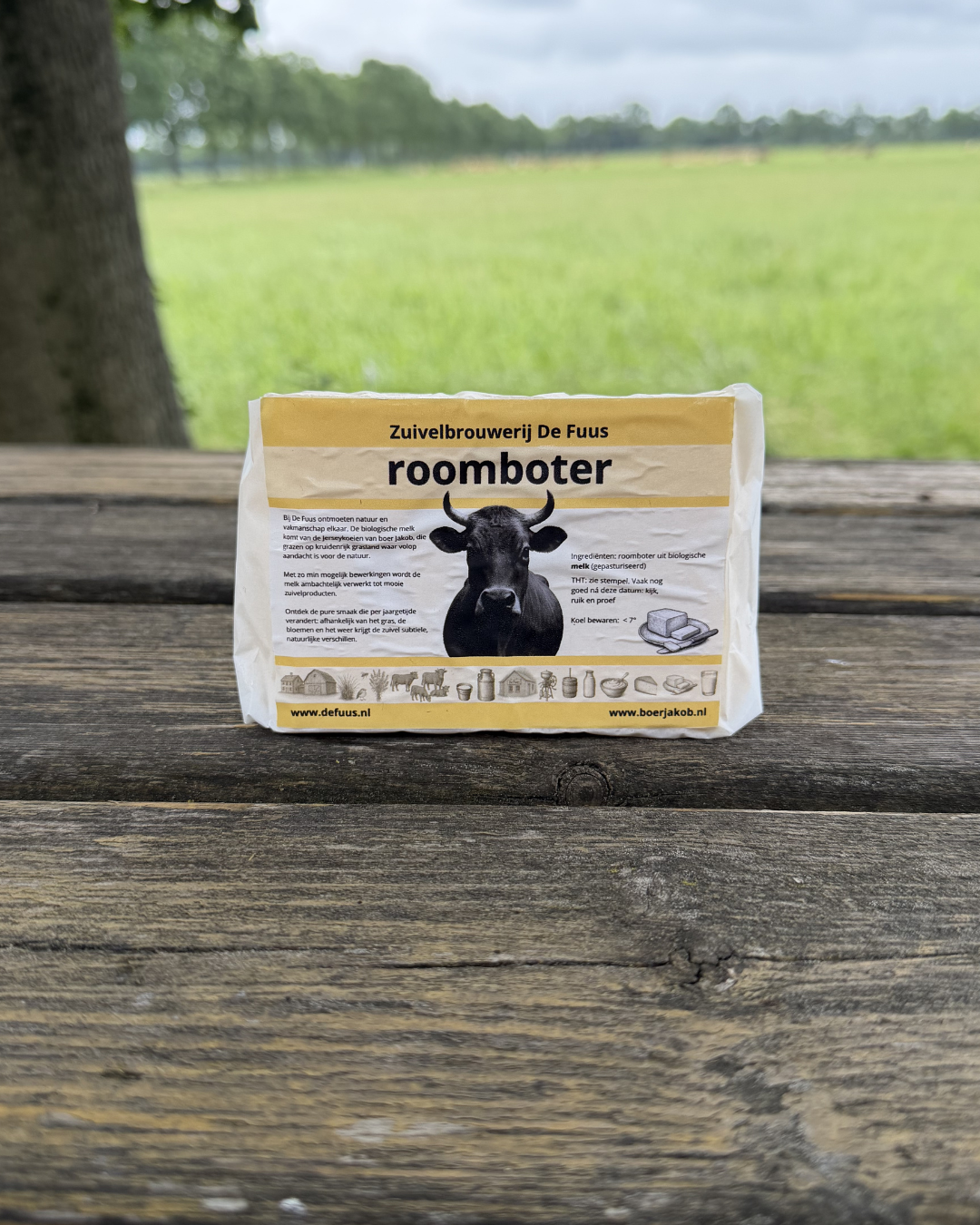 Roomboter