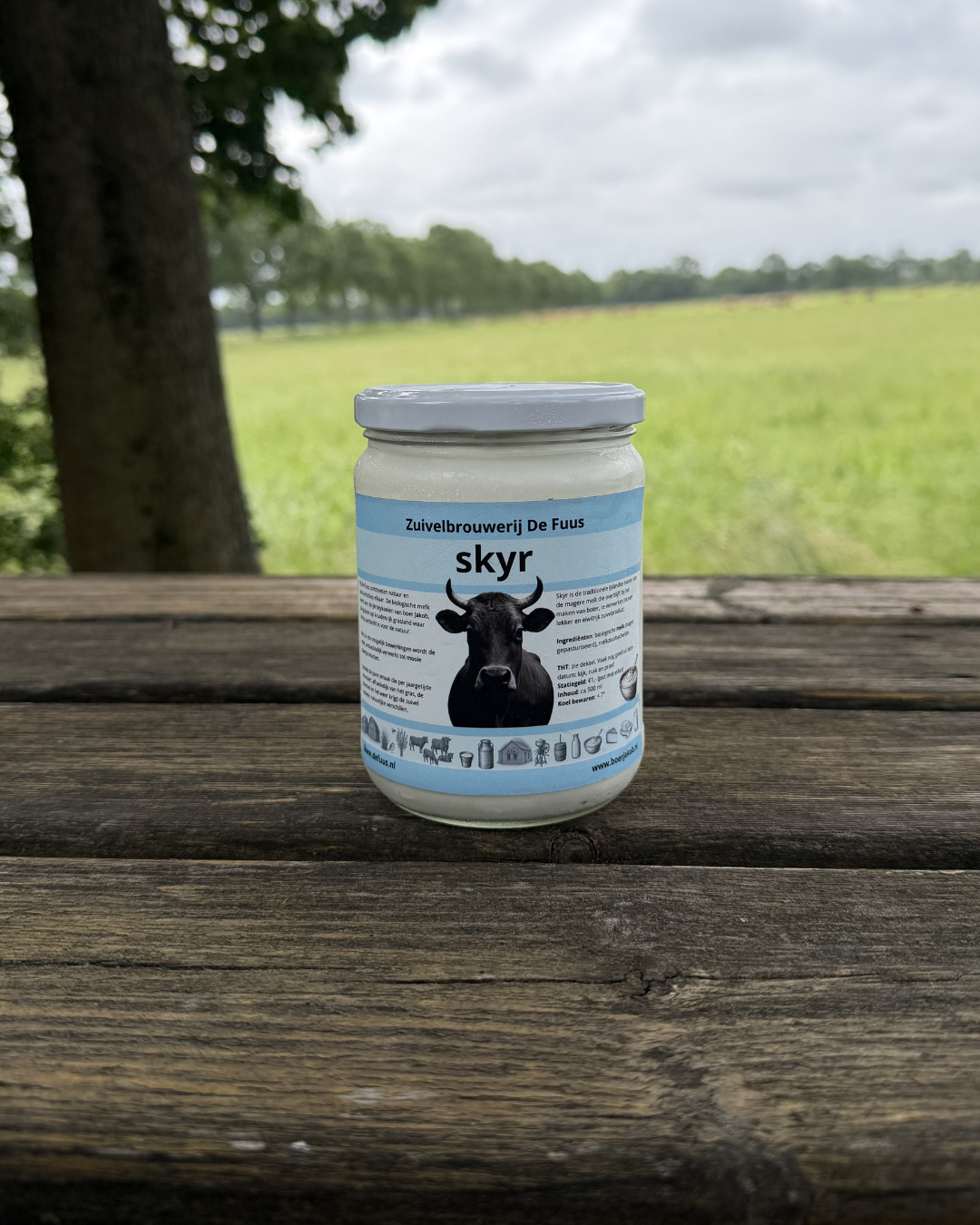 Jersey-skyr