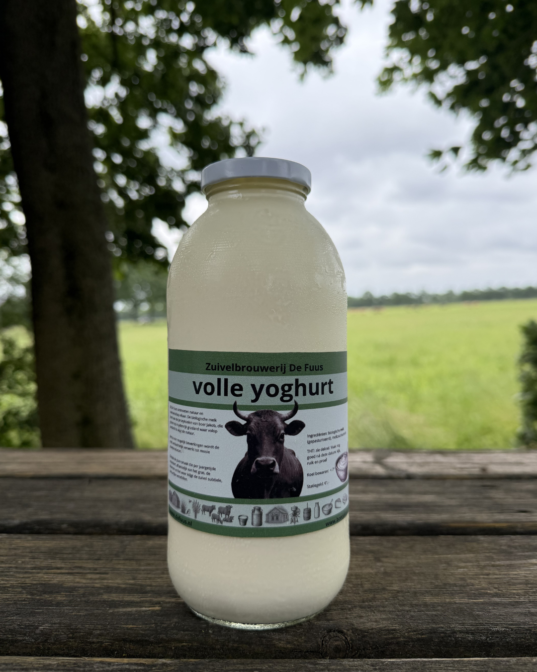 Volle yoghurt